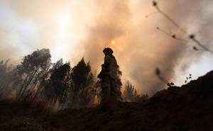 Incendio en Los Sauces y Angol ya consumió más de 12.300 hectáreas