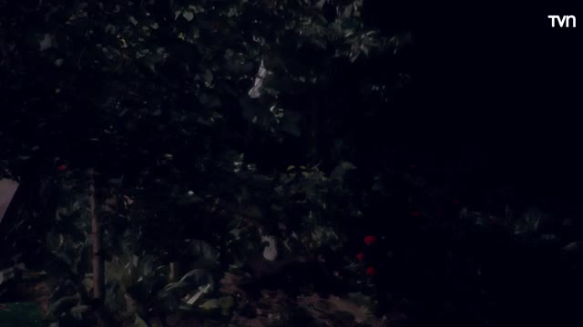 La verdad sale a la luz
