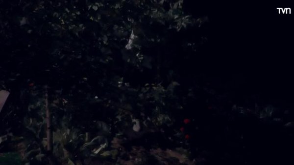 La verdad sale a la luz
