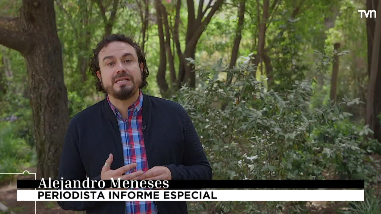 Catalina Barra sobre marchas por su hermana: "Nos reconforta ver que estamos con un país completo apoyándonos"
