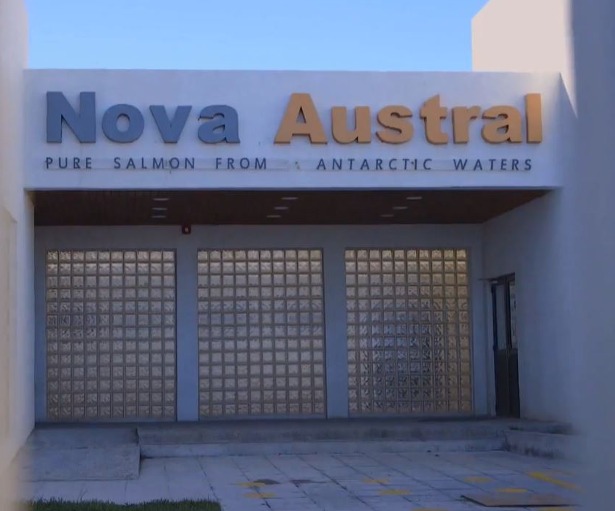 Caso Nova Austral, en la mira de la Superintendencia de Medioambiente | Informe Especial
