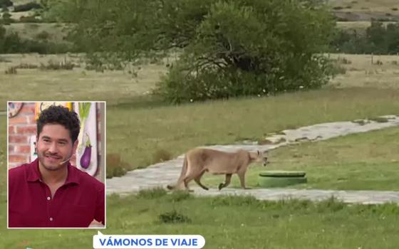 Gino Costa tuvo un encuentro cara a cara con un puma
