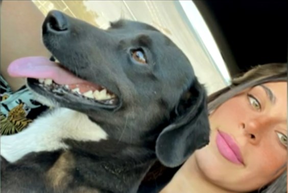 Así está "Blakie", el perrito rescatado tras ser abandonado en plena carretera en Colina

