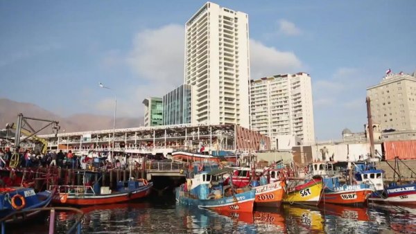 Caleta Riquelme | Mar Adentro: Una Caleta, una historia - T1E10
