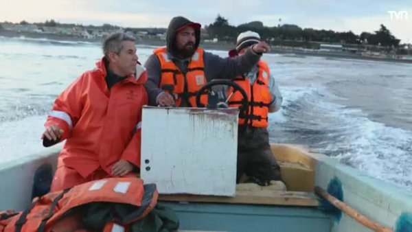 Pichilemu | Mar Adentro: Una caleta, una historia - T1E3
