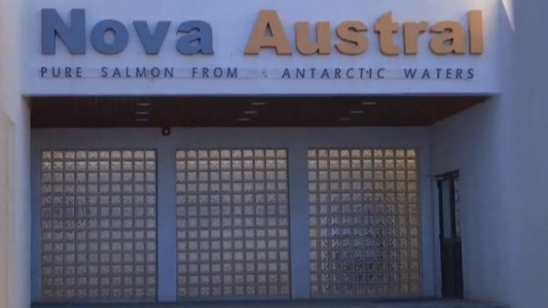 Caso Nova Austral, en la mira de la Superintendencia de Medioambiente | Informe Especial
