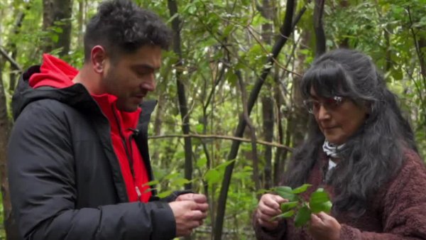 "Vámonos de viaje" Gino nos lleva al "Mirador el León"
