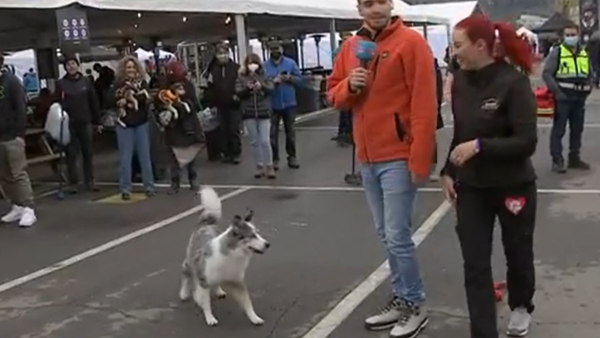 Estamos en el evento canino más grande de Sudamérica
