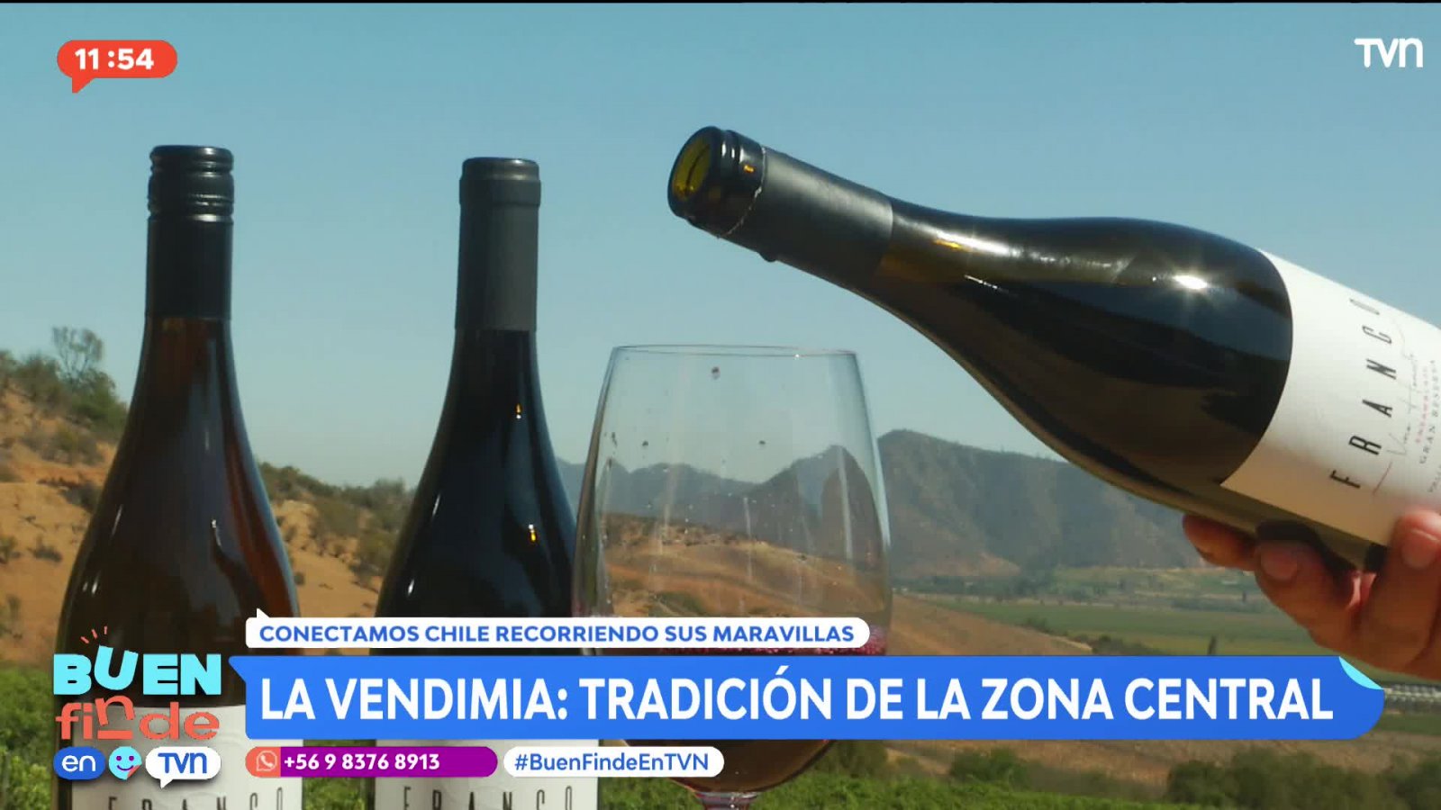 La vendimia: Una tradición de la zona central
