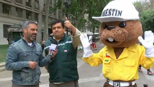 Conaf necesita nuevos brigadistas en todo Chile
