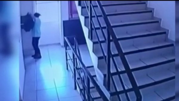 Rescatan a perrita que fue lanzada por un ducto de basura en Antofagasta

