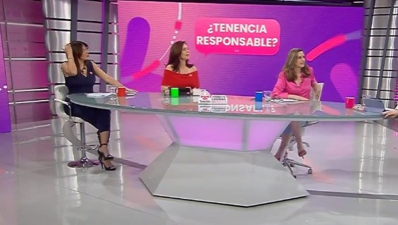 Los resguardos y cuidados que debemos tener antes de sacar a pasear a nuestros perros
