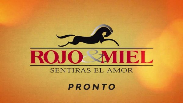 "Estoy pensando en ti...": Regresa un clásico de TVN, "Rojo y Miel"
