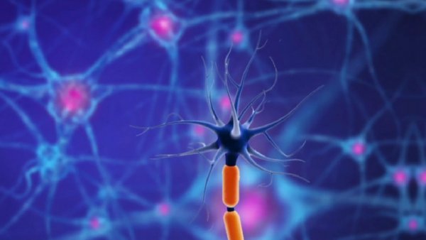 Parkinson: una rápida y dolorosa enfermedad que no tiene cura
