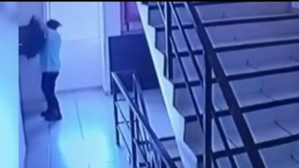 Inhumanos lanzan a perrita por el ducto de basura de un edificio de Antofagasta
