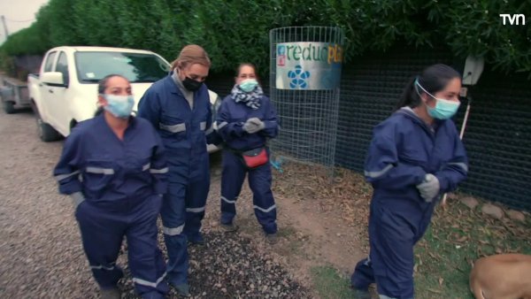 Reciclaje | Este es mi mundo - T1E5
