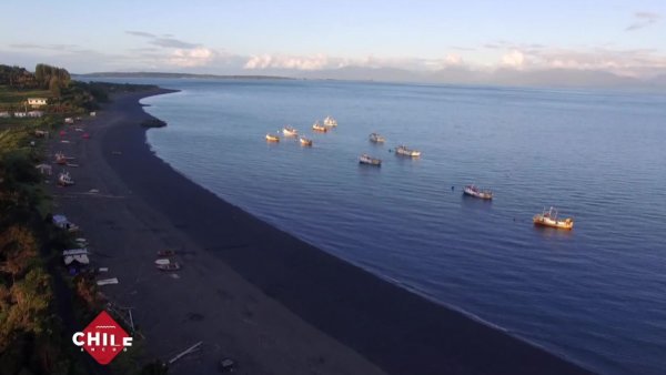 Isla Chuit | Chile Ancho
