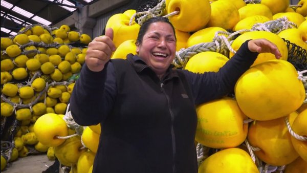 Mujeres en la pesca | Pescadores de Altamar - T1E3
