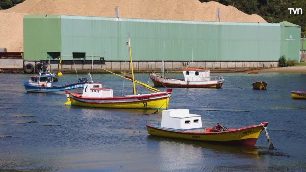 Caleta Amargos | Mar Adentro: Una caleta, una historia - T1E9
