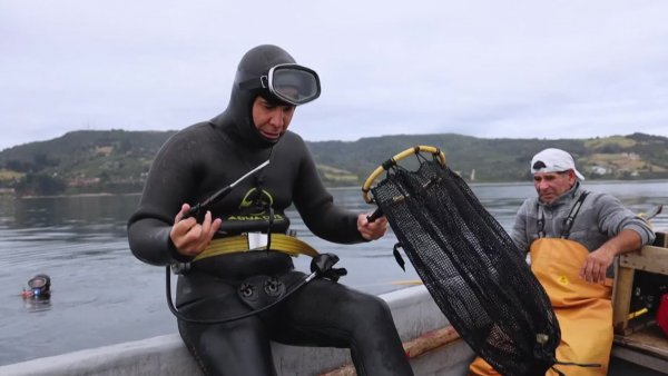 Caleta Fátima | Mar Adentro: Una caleta, una historia - T1E6
