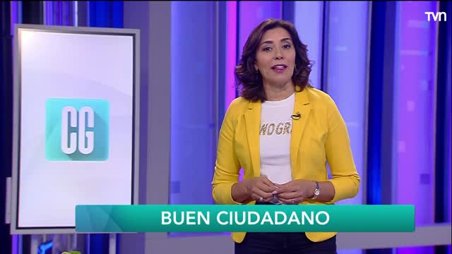 Buen Ciudadano: Todo lo que necesitas saber sobre las Primarias
