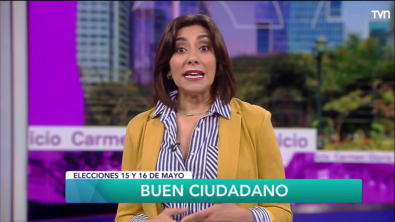 Buen ciudadano: Elecciones 15 y 16 de mayo
