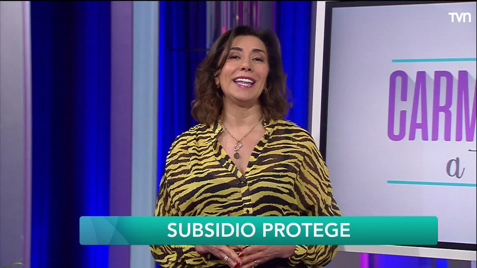 ¿Qué es Subsidio Protege?
