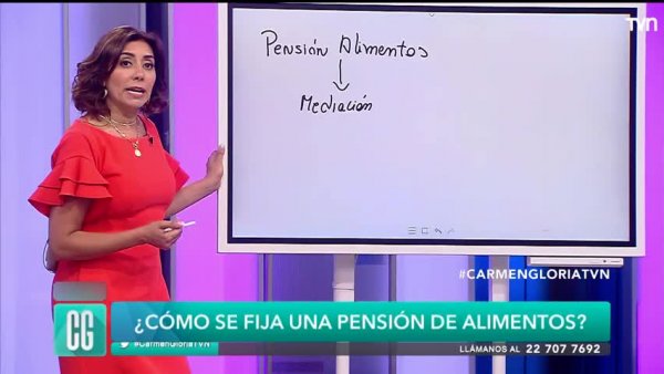 ¿Cómo se fija una pensión de alimentos?
