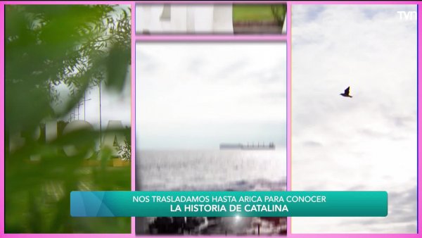 Nuestra alianza con Fundación Mujer Impacta
