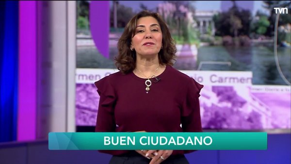 Buen ciudadano: Unidad Constituyente
