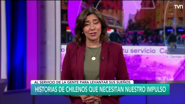 Desafío Levantemos Chile: Dos causas nuevas
