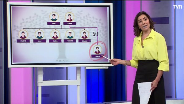 ¡A la pizarra! Carmen Gloria explica cómo repartir la herencia de estos hermanos
