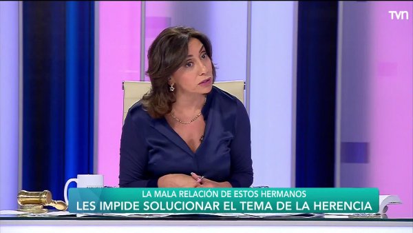 Capítulo 24 de junio: Familia, pero no tanto... | Carmen Gloria a tu servicio
