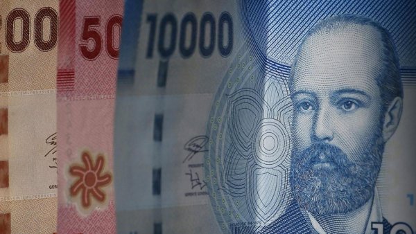 Bono de Protección: cómo recibir el dinero que se entrega por 24 meses
