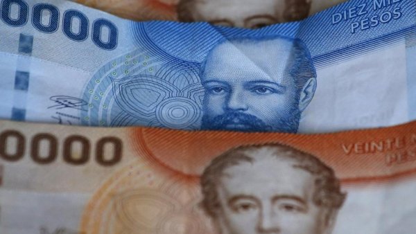 Bono de Protección: cómo recibir el dinero que se entrega por 24 meses
