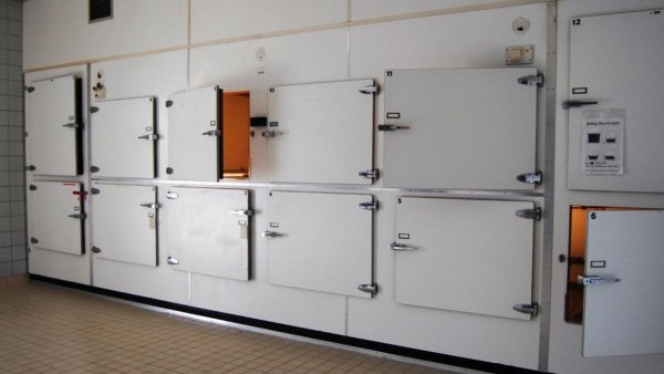 Hombre murió tras ser ingresado por error a cámara frigorífica de la morgue en Brasil
