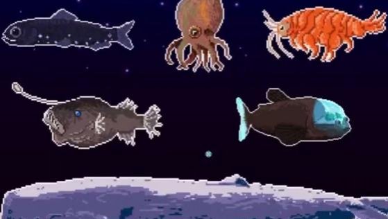 Instituto Milenio de Oceanografía lanzará videojuego inspirado en la exploración de la fosa de Atacama
