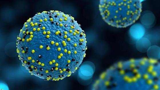 Captan por primera vez imágenes en directo de un virus infectando una célula
