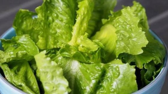 Científicos de EE.UU. crean lechuga que disminuiría el riesgo de osteoporosis
