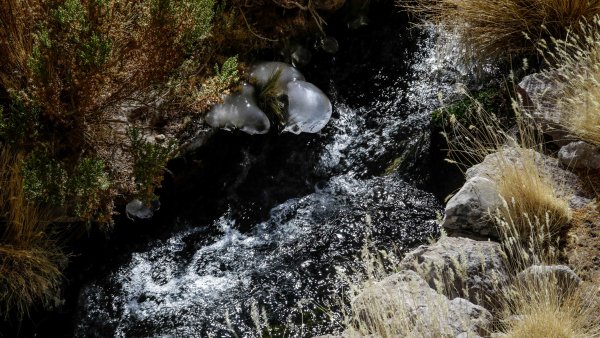 Caso Silala: ¿cuáles son los posibles escenarios para Chile?
