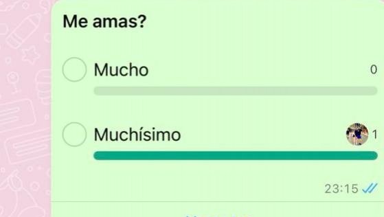 Encuestas de WhatsApp: ¿por qué usuarios ya las tienen y otros no?
