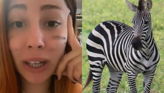 Dice ser una cebra: joven 'transespecie' acusa discriminación porque no la recibieron en refugio de animales
