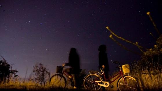 Lluvia de estrellas: Revisa cuándo se puede ver el fenómeno
