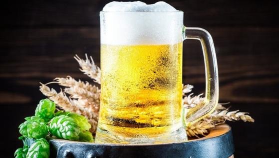 La más consumida del mundo: componente natural de cerveza Lager se originó de Chile
