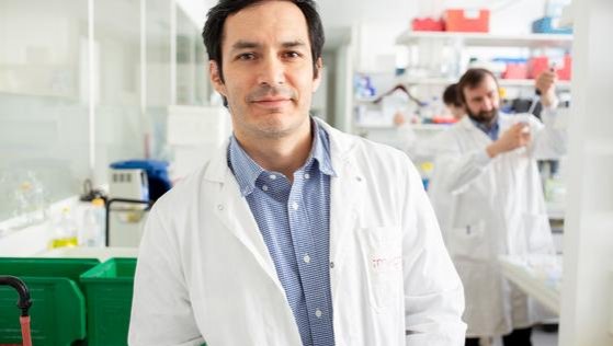 Científico chileno encabeza equipo detrás de hallazgo que cambiaría el tratamiento de las alergias a futuro
