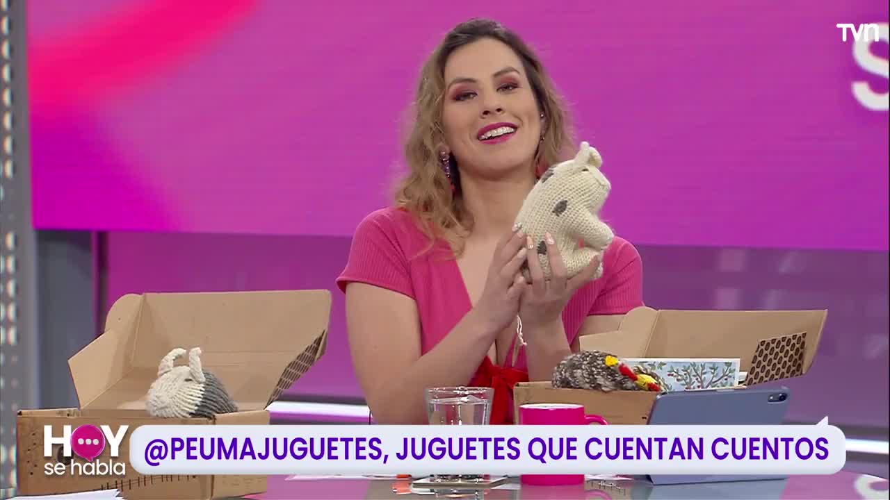 Emprendimientos dedicados a artículos para bebés y niños
