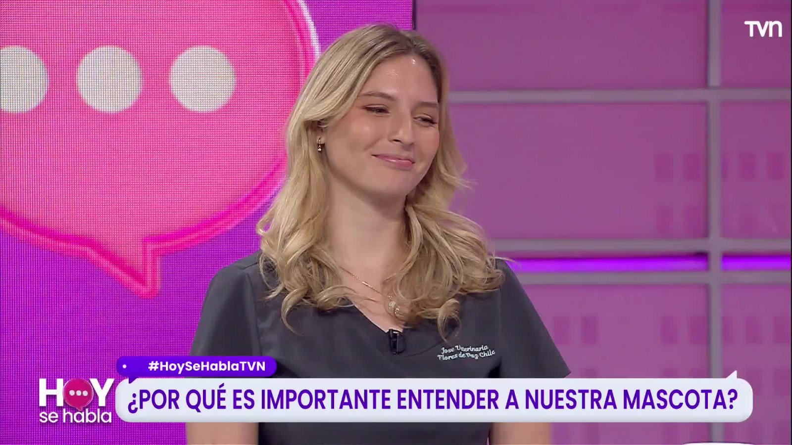 ¿Sabes cómo entender a tu mascota?
