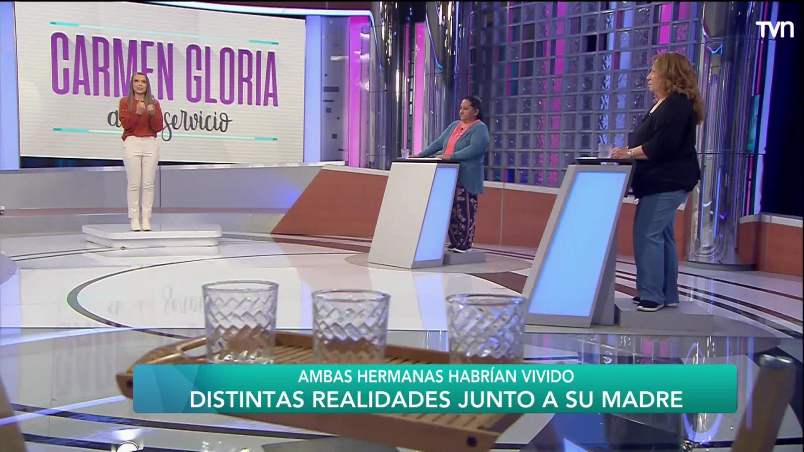 "Por respeto a su dolor no le voy a exigir nada": Carmen Gloria empatiza con demandada

