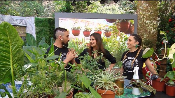 Compartimos nuestros secretos para cuidar las plantas del calor

