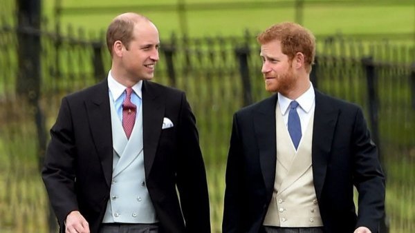 "Acabé en el plato del perro": Harry reveló fuerte pelea con el Príncipe William en su libro "Spare"
